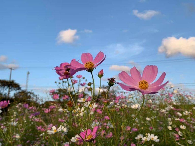 スピリチュアルな観点での物をなくすのは、運気が変わる前兆!!なくしものが見つかることの意味や解釈は? スピリチュアルって何なの?何ができるの? スピリチュアルな観点での物をなくすのは、運気が変わる前兆!!なくしものが見つかることの意味や解釈は? スピリチュアルって何なの?何ができるの?