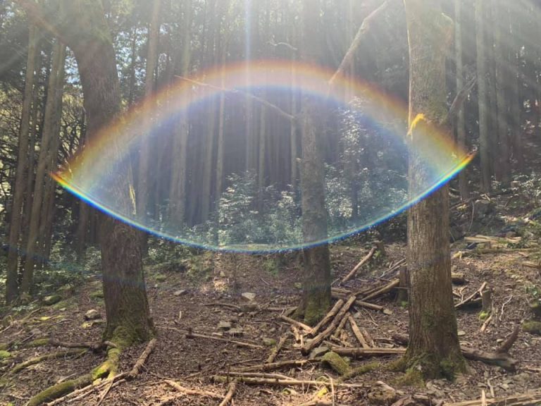 スピリチュアルな観点での虹を二回見る・朝の虹と夕方の虹・丹光が虹色・虹の七色と七福神の意味や解釈、メッセージ。虹が「縁起が悪い」と言われることについて スピリチュアルって何なの?何ができるの? スピリチュアルな観点での虹を二回見る・朝の虹と夕方の虹・丹光が虹色・虹の七色と七福神の意味や解釈、メッセージ。虹が「縁起が悪い」と言われることについて スピリチュアルって何なの?何ができるの?